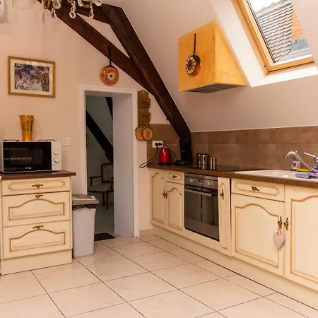 Apartment L'ambassadeur - Centre Colmar