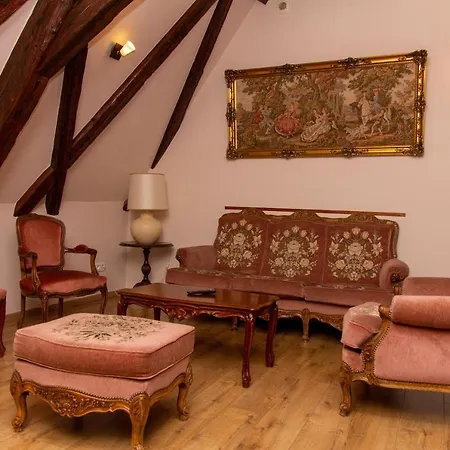 Appartement L'ambassadeur - Centre Colmar