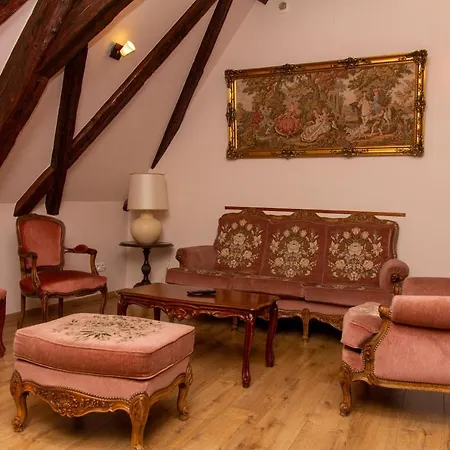 Apartment L'ambassadeur - Centre Colmar