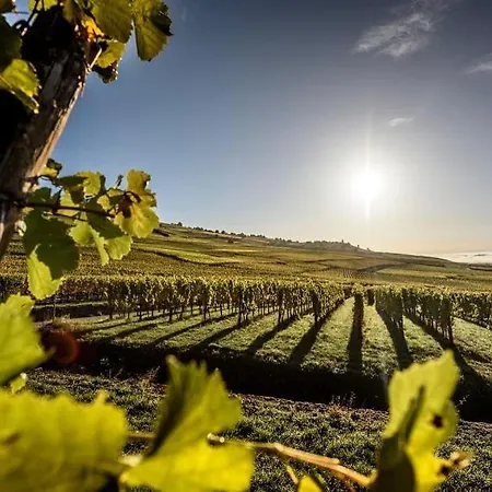 L'ambassadeur - Centre * Colmar