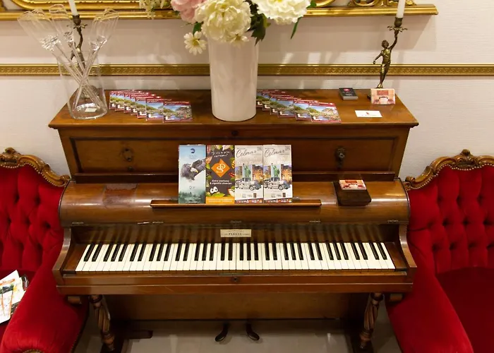 L'ambassadeur - Centre Colmar