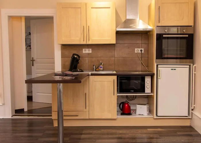 Appartement L'ambassadeur - Centre