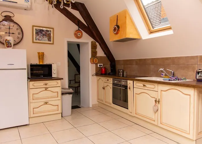 Appartement L'ambassadeur - Centre Colmar