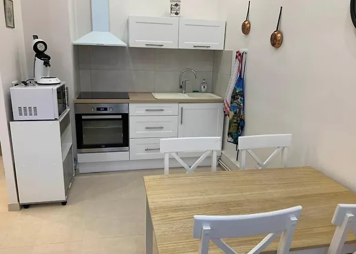 L'ambassadeur - Centre Appartement Colmar