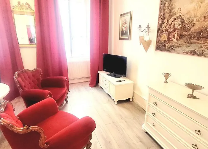 Appartement L'ambassadeur - Centre