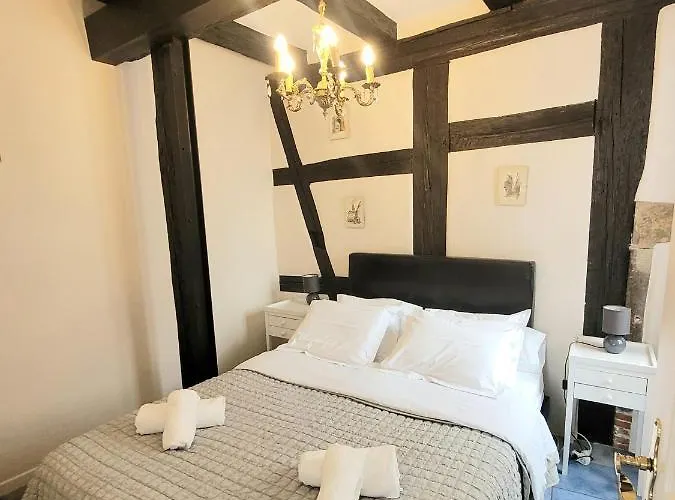 L'ambassadeur - Centre Appartement Colmar