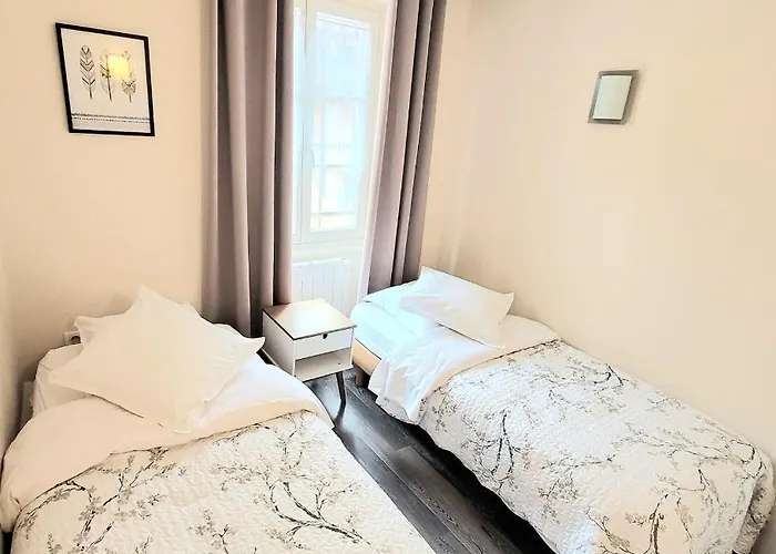 Appartement L'ambassadeur - Centre Colmar