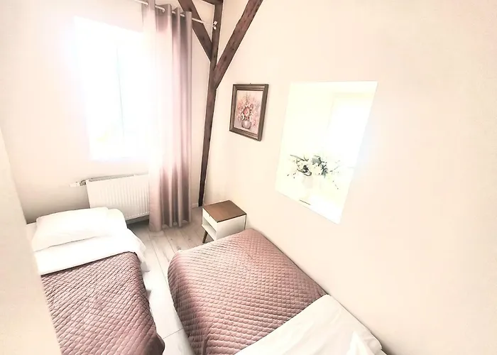 L'ambassadeur - Centre Appartement Colmar