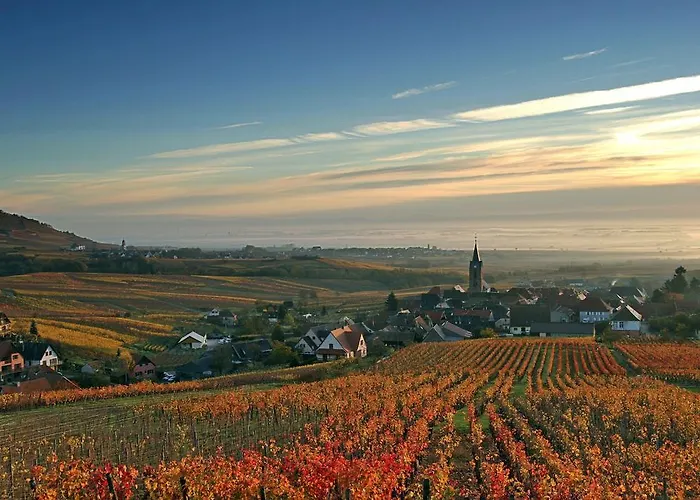 L'ambassadeur - Centre * Colmar