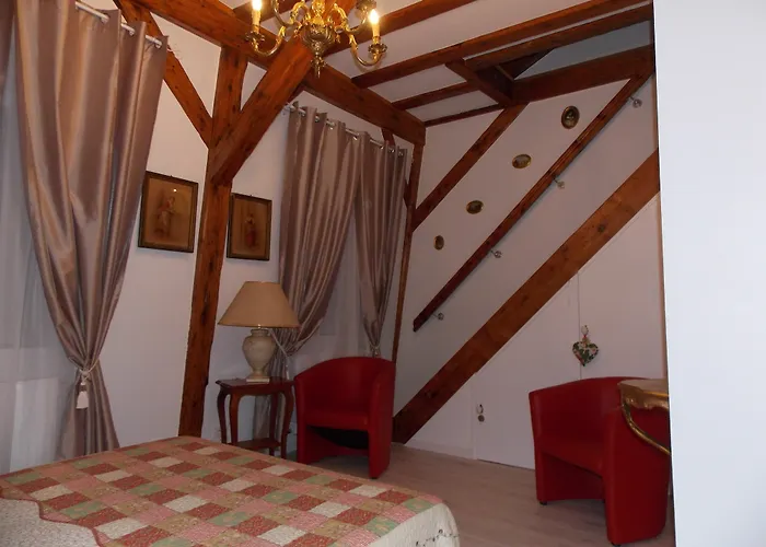 L'ambassadeur - Centre Appartement Colmar