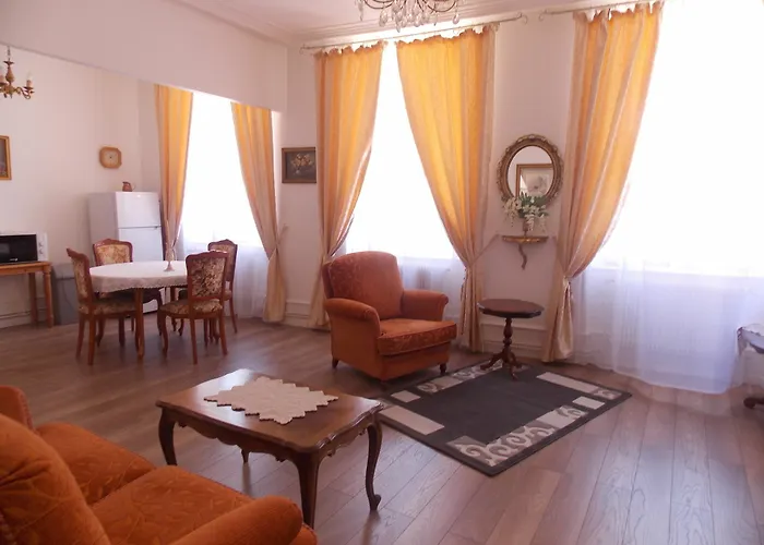 Appartement L'ambassadeur - Centre Colmar